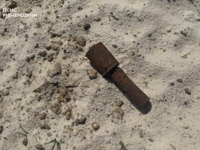 У лісі на Сарненщині знайшли гранату часів Другої світової війни (ВІДЕО)