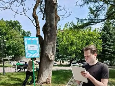  Пам’ятка природи, яка може впасти на голову: жителів Чорткова закликають бути обережними 