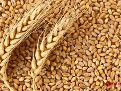 До уваги сільськогосподарського товаровиробника!