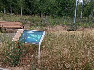 Маріупольці показали стан Приморського парку після «реконструкції» (фото, відео)