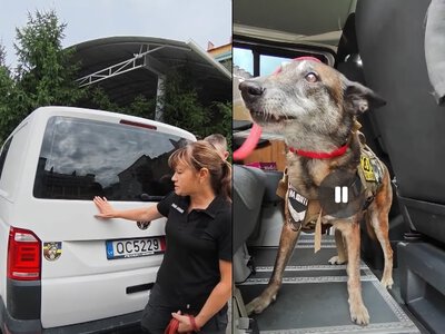 Павлоградські кінологи отримали спеціалізований автомобіль від литовських партнерів