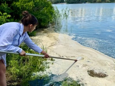 Небезпечне забруднення в озері Небреж: киян закликають не відпочивати біля водойми