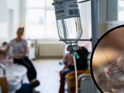 На Хустщині 10-місячне немовля потрапило до лікарні через підозру на отруєння щурячою отрутою