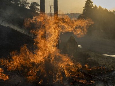 В Іспанії 11 людей загинули внаслідок лісової пожежі (уточнено)