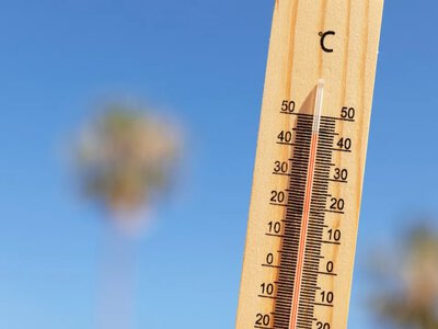Спека до +36° накриє Україну вже за кілька днів: синоптики назвали дату 