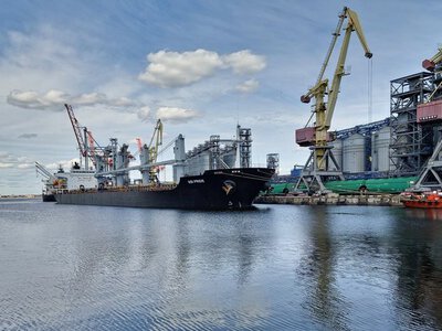 Частка агропродукції в експорті України сягнула 56%