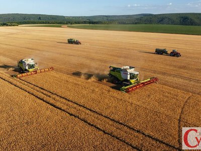 Жнива на Житомирщині стартували раніше: перші 33,7 тисячі тонн зерна вже зібрали