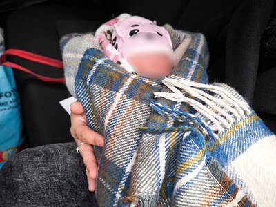 Продаж немовляти за $10 тисяч у Миколаєві: суд виніс вирок батькам