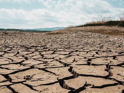 Ель-Ніньйо загрожує врожаю ягід та фруктів у світі