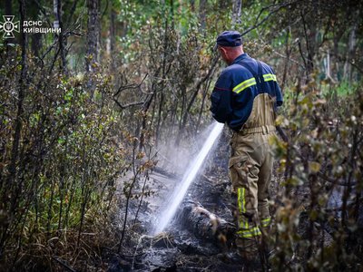 У Чорнобильській зоні відчуження ліквідували лісову пожежу, що тривала два тижні