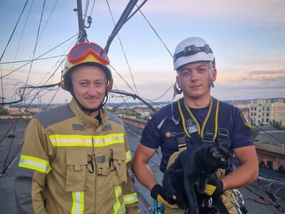 За добу на Буковині сталося сім надзвичайних подій: рятувальники гасили пожежі та врятували кота й собаку