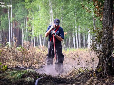 Пожежу в Чорнобильській зоні, яку гасили два тижні, успішно ліквідовано