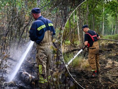 Рятувальники ліквідували пожежу у Чорнобильській зоні відчуження: чи є підвищення рівня радіації
