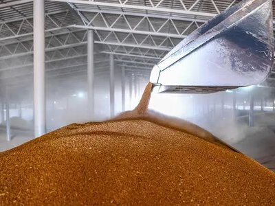 Найбільшого зернотрейдера РФ продали структурі, пов'язаній із державним фондом Оману