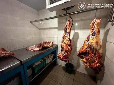 Правозахисники виявили порушення під час візиту до Звенигородського будинку-інтернату