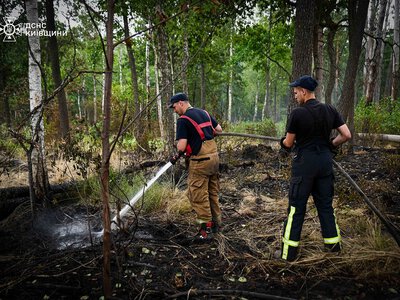 Пожежу в Чорнобильській зоні відчуження ліквідовано: рятувальники два тижні стримували вогонь
