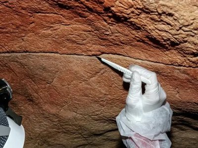 Вчені знайшли ДНК людей на стінах печер: що показало несподіване відкриття