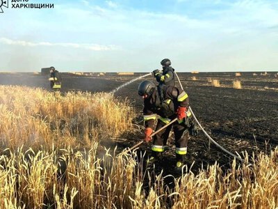 Чи можлива в Україні продовольча криза через російські обстріли полів: пояснює представник Всеукраїнської аграрної ради