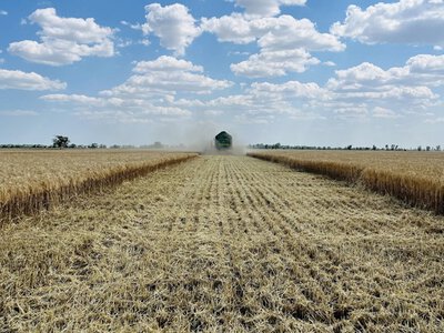 Жнива на Житомирщині: ранній старт і добрі прогнози