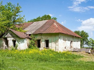 Забута спадщина: історія родини київського банкіра, що залишила слід в історії Поділля