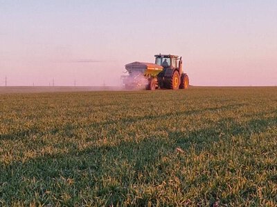 Ґудвеллі Україна: органічне та мінеральне живлення