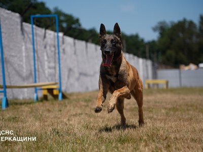 На Черкащині службового собаку Блерта готують до пошуково-рятувальних завдань (ФОТО)