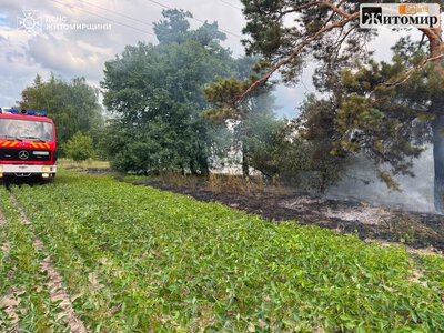 На Житомирщині за добу рятувальники загасили чотири пожежі сухої трави та сміття