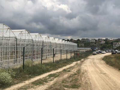 В анексованому Криму могла бути припинена робота найбільшого тепличного виробництва