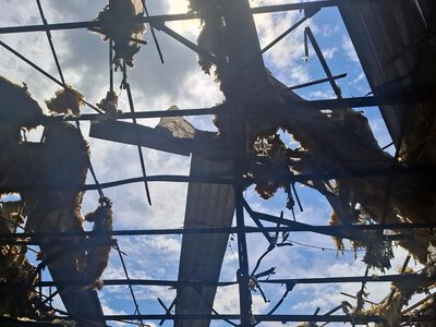 Росіяни вдарили дроном по цивільному підприємству в Харкові (фото)