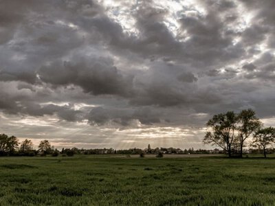  Шквали та град: у частині Закарпаття пройдуть значні дощі 