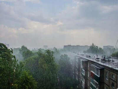 На Чернігівщині вирує негода: жителів попереджають про небезпеку