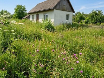 Заросла ділянка — штраф: українців попереджають про покарання за нескошені бур’яни