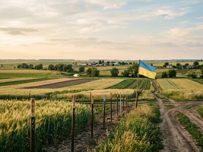 Орендна плата за паї зросла в рази: де власники землі отримують найбільше