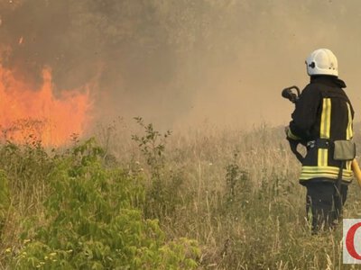На півдні Житомирщини 12 липня оголосили 5 клас пожежної небезпеки