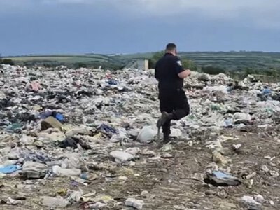 У Молдові на звалищі знайдено сотні водійських посвідчень з Румунії