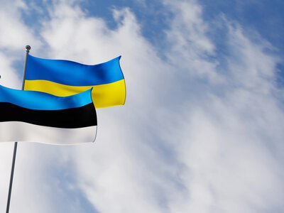 Естонія підтримала продовження тимчасового захисту для українців до 2028 року, але з новими умовами