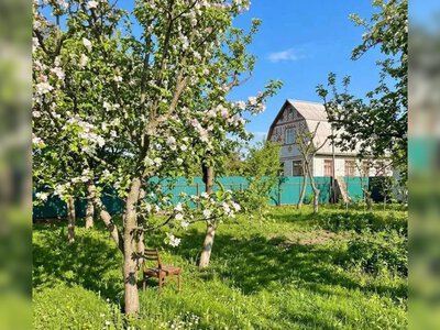 У Слабин запрошують родини з дітьми - у селі є вільні будинки