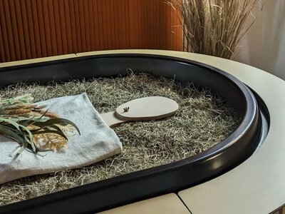 Не кремація і без традиційної труни: у Німеччині ховатимуть по-новому — PMG.ua