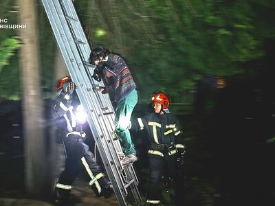 У Львові рятувальники знімали з дерева жінку, яка полізла рятувати свого кота