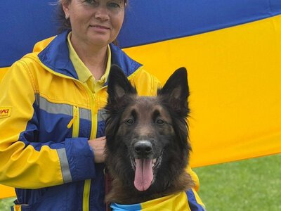 Дресирувальний центр Антарєс на Дніпропетровщині відновлює роботу: яких собак приймають на тренування