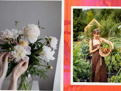Синдром втраченого літа: як тривога маскується під продуктивність і slow life