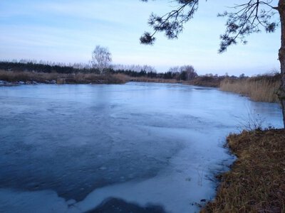 Громада на Волині віддає в оренду ставок за 26 тисяч