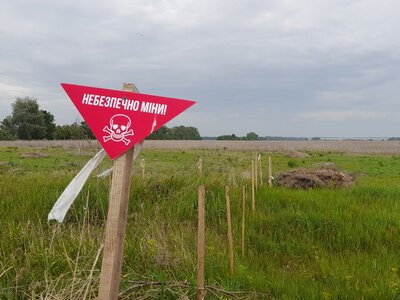 Розміновані поля можуть приховувати нову загрозу: науковець радить не поспішати із сівбою соняшнику