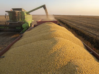 Фермери змінили вподобання: які трактори та комбайни тепер у топі