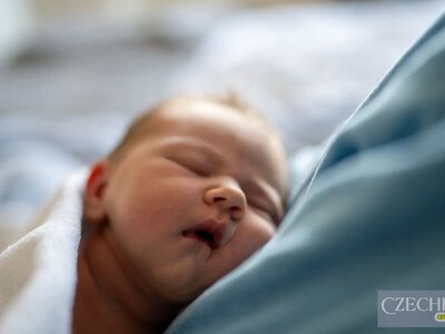 Батьківська допомога у Чехії збільшиться з 1 січня 2027 року: які суми