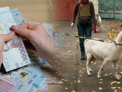Гроші на евакуацію з худобою: Червоний Хрест допоможе жителям Чернігівщини