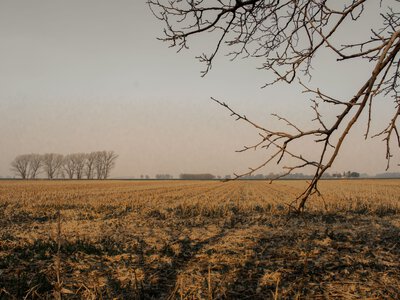 Світ втрачає близько $20 млрд на рік через глобальне потепління