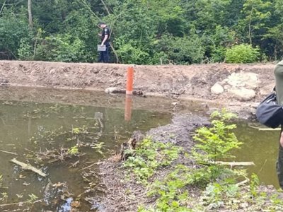 На Миколаївщині чоловік перекрив притоку річки: пошкоджено дерева, фахівці підрахували збитки