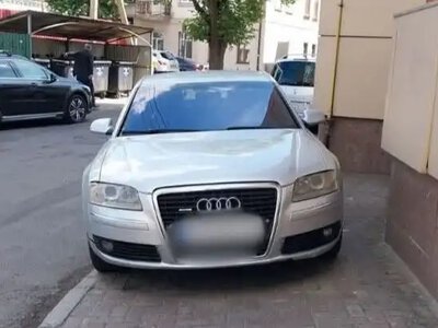 У Рівному за тиждень муніципали виписали понад 800 штрафів