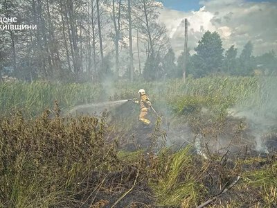 На Фастівщині під час пожежі сухої трави постраждала людина